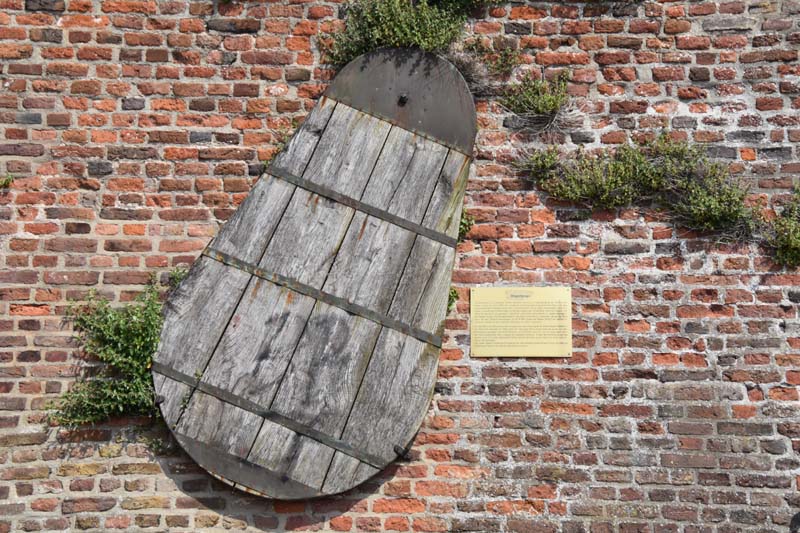 19-05-24_Rees_0047_GA2_0307