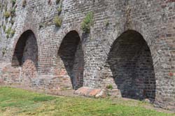 19-05-24_Rees_0071_GA2_0318